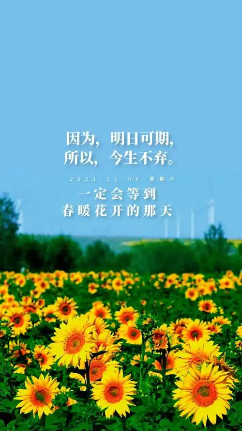 「2021.11.06」早安心语,正能量简短语录句子,唯美早上好图片