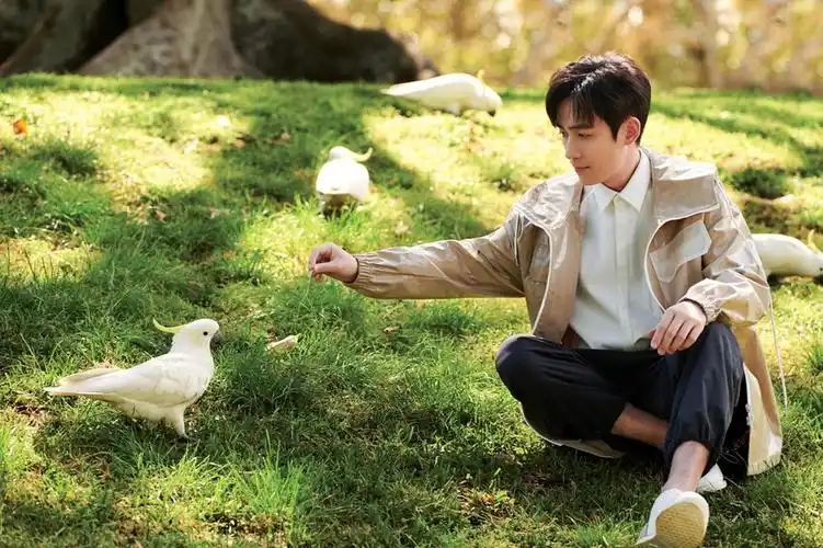 桌面壁纸 明星图片 > 正文  本文 朱一龙温暖帅气壁纸_翩翩公子朱一龙