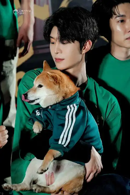 可爱的小柴,一年又一年陪伴着丞丞,还是最爱这个大煤气罐子  @范丞丞