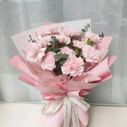 母亲节康乃馨花束