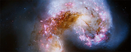 搞笑gif动态图如何有效的防止室友偷吃