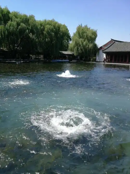 这是梅花泉五个泉眼中最大的两个泉眼.