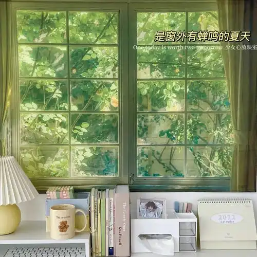 假窗户挑战分享一个79r入的假窗户