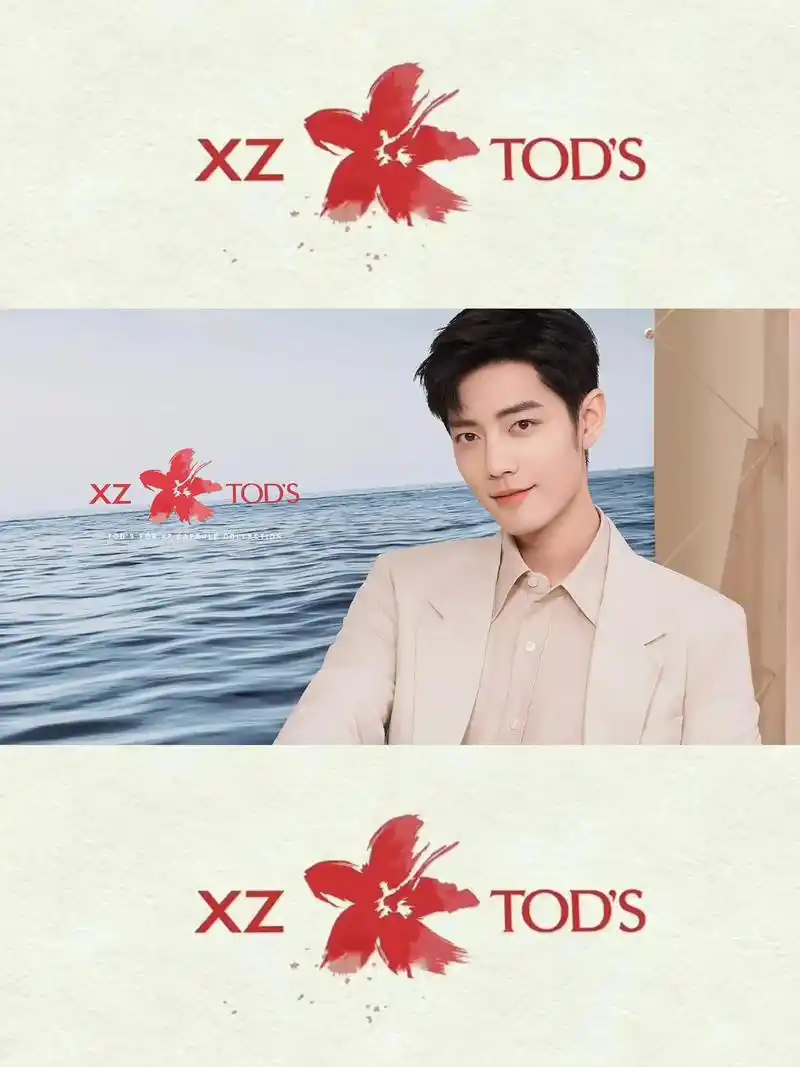 这次是设计师肖战呀 #肖战 #向全世界安利 - 抖音