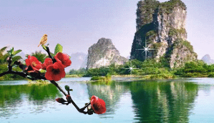 418_240gif 动态图 动图