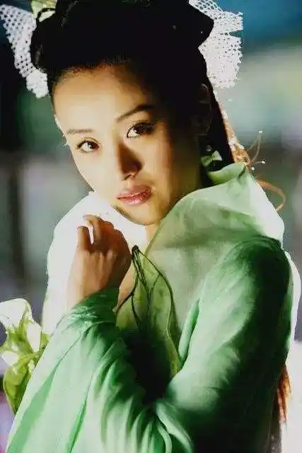 陆无双——杨蕊 公孙绿萼—— 傅淼 李莫愁——孟广美 完颜萍