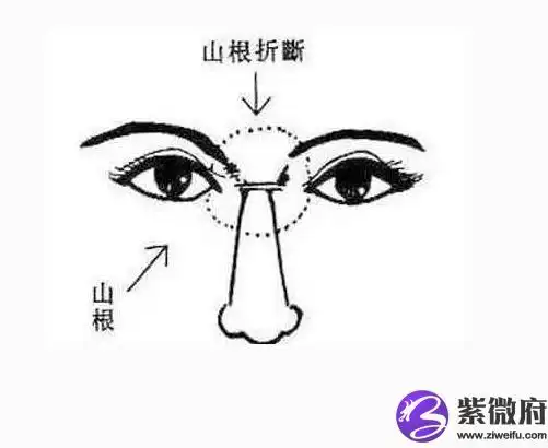 揭秘鼻梁横纹面相命运