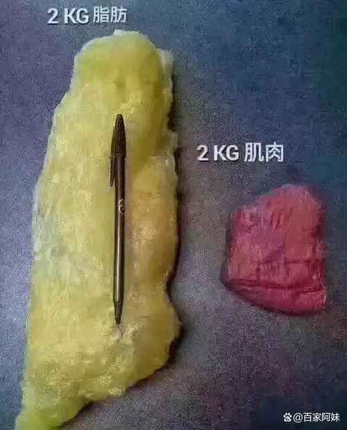 立秋后若还不减肥瘦身的话,那你在冬天会胖5-20斤左右呦,因为秋天容易