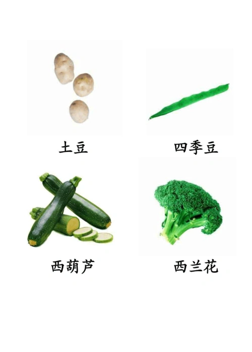 蔬菜图片大全(附名称)