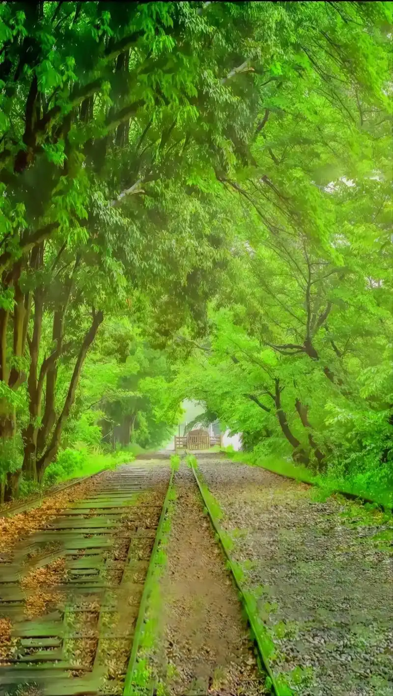 全屏高清壁纸 #大自然美景 #春夏秋冬四季有你 - 抖音