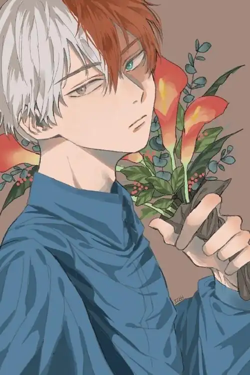 《我的英雄学院》轰总简直帅哭!