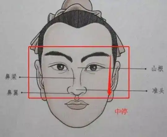 面相三停看一生运势,你是穷?是富?_一个人_下巴_人中