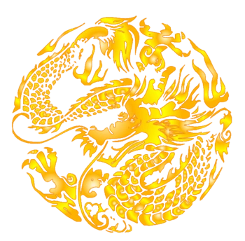 圆形龙图案