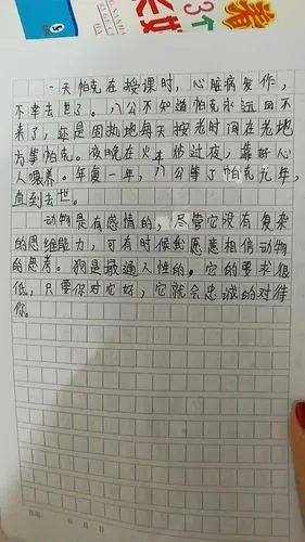 茗茗的这篇作文,抄写工整,干净,表扬!