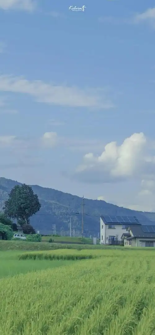 高清风景手机壁纸_网易订阅