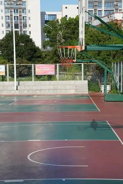 网球场,篮球场……石排这些体育场所都是免费开放的!_运动_健身_片区