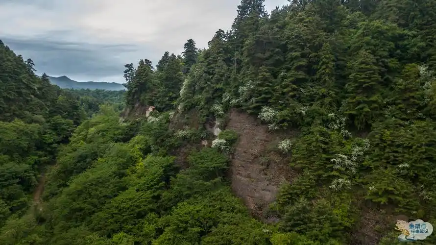 境幽,因内有大山,二台,皇洞,老君等九峰环峙,状如莲花而又名"莲峰山"