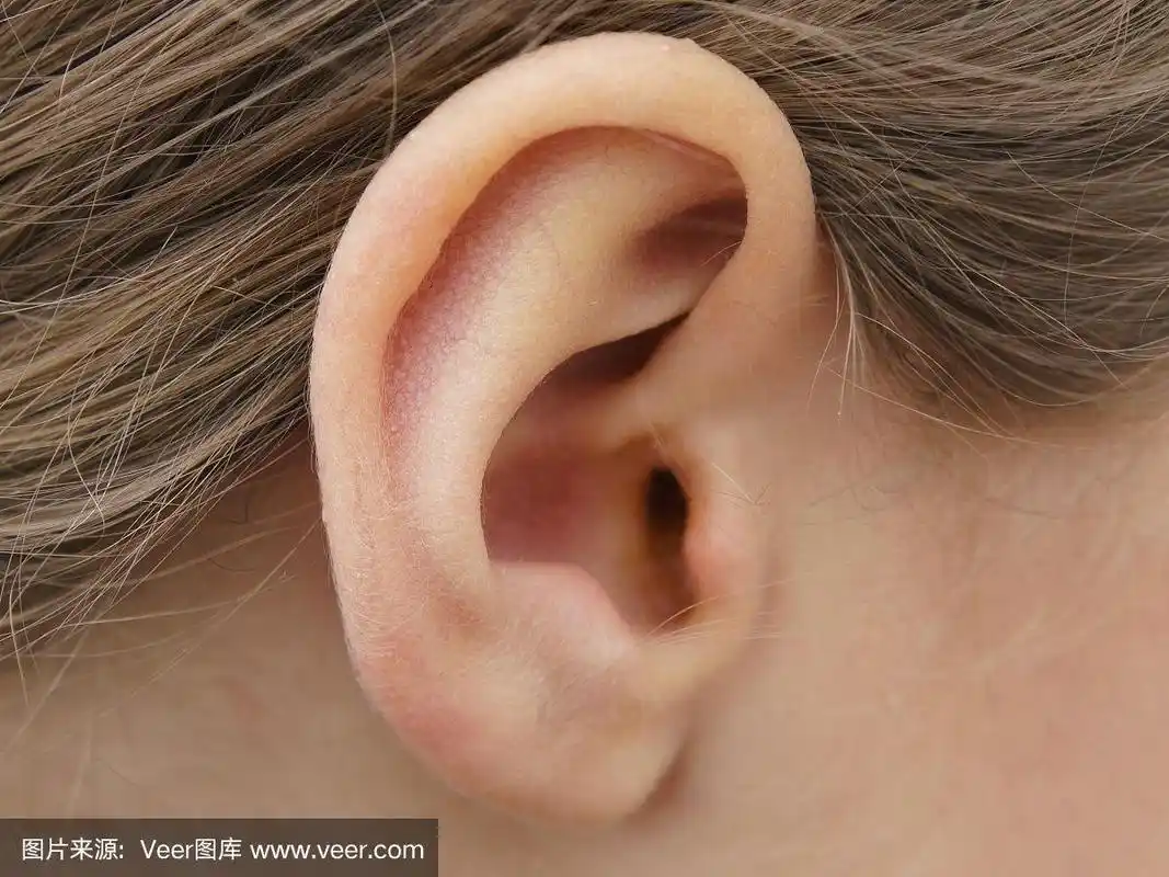 孩子耳朵的照片.