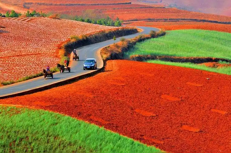 红土地(红色土壤)_尚可名片