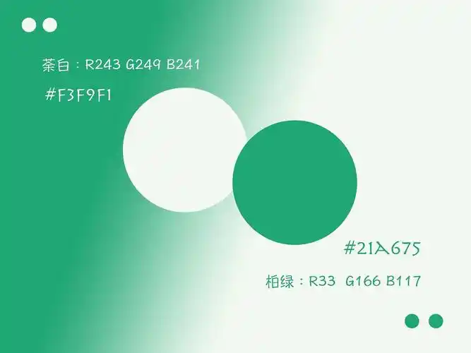 张泽禹应援色确定了