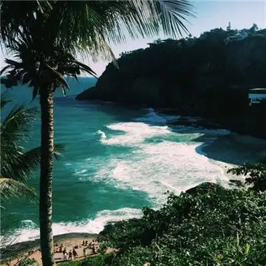 微信头像-海边风景头像唯美椰子树图片 喜欢就争取得到就珍惜(5)