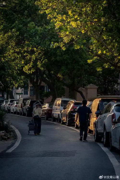 傍晚的青岛老城区街道,光影交错,金光四溢,阳光透过树荫,安静的照亮着