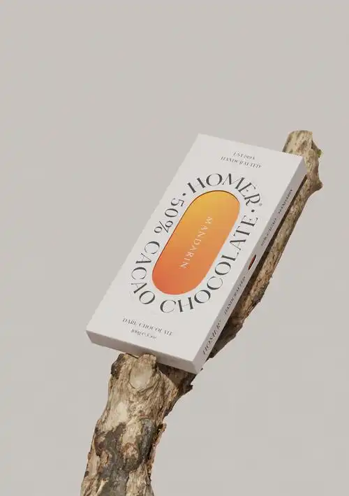 简约时尚巧克力包装设计
