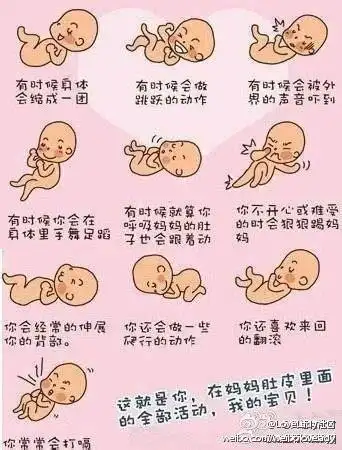 胎盘在后壁或者前壁跟男女的性别是没有关系的,这个没有任何的联系和