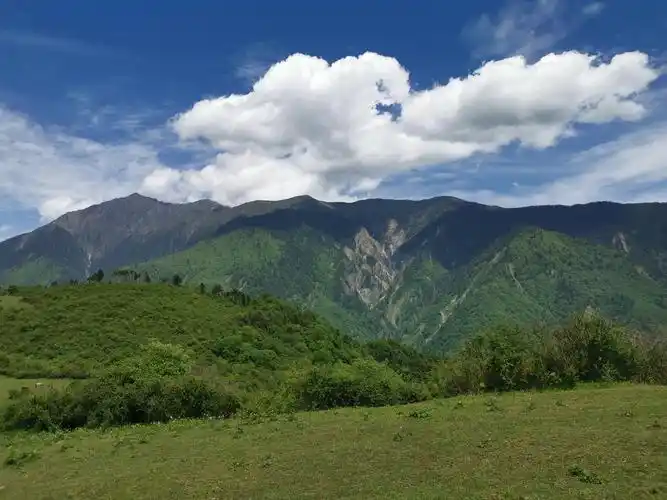 四川阿坝州-熊猫坪高山草甸
