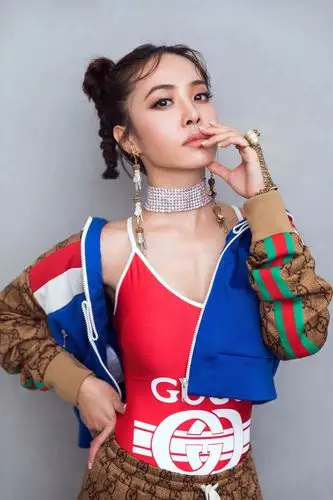 蔡依林-堆糖,美好生活研究所