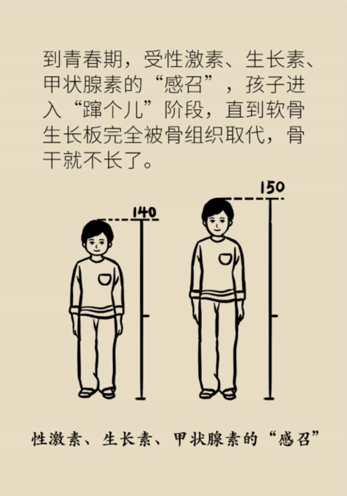 想要孩子长高个,专家给你来支招!_腾讯新闻