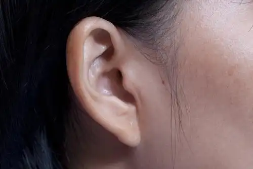 耳朵图片
