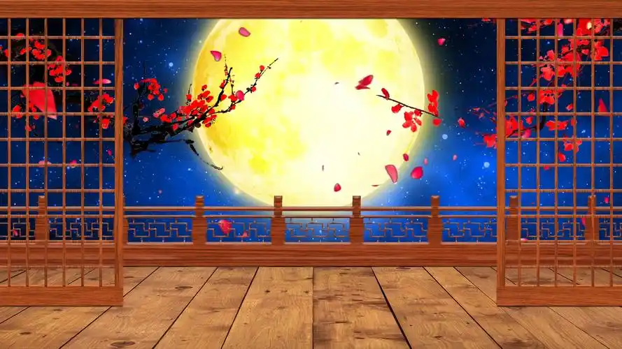 梦幻星空梅花大月亮背景视频