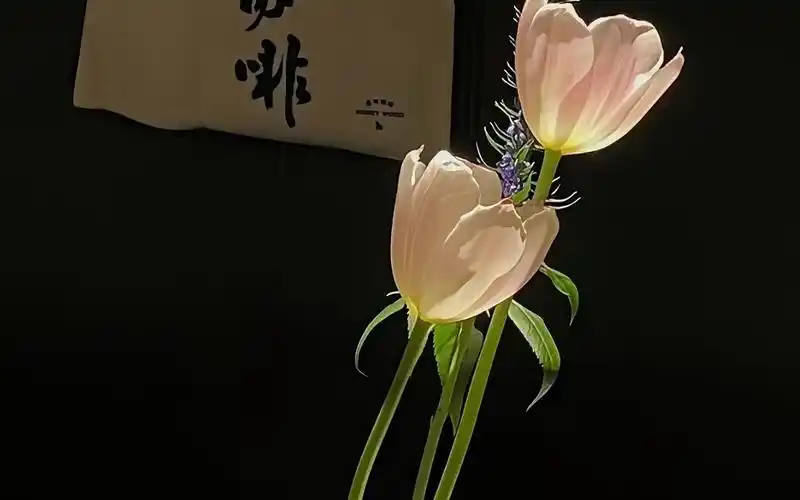 春日浪漫,鲜花氛围壁纸.