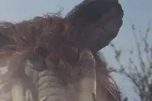 液体怪兽 泰甘 身高50米 ,体重4万吨 来自因贝达母星的怪兽,用设置