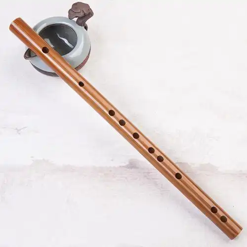 笛子初学成人零基础cos道具男女古风乐器学生入门儿童短横素竹笛棕色c