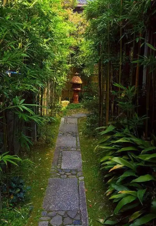 中式庭院——心中最美的风景