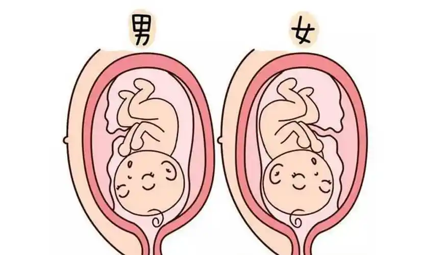 后壁看男女有玄机,女儿多还是儿子多宝妈这样说