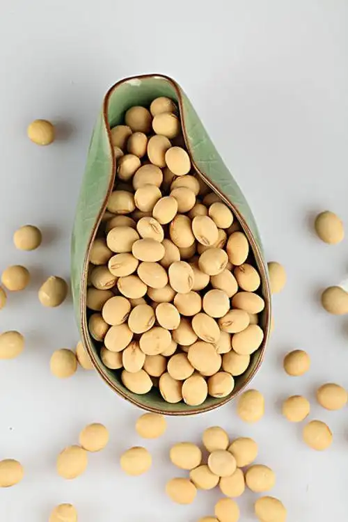 黄豆图片_黄豆高清图片_全景视觉