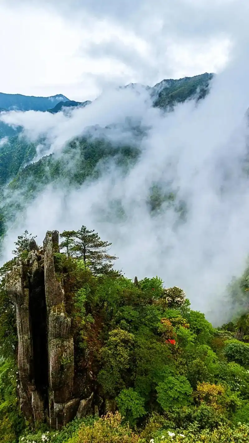 昨天明月山攻略说有高山小火车直 - 抖音