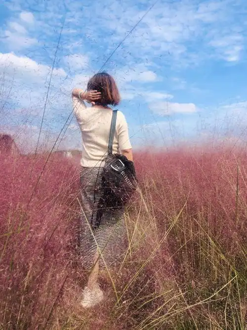 青春不老 金花绚烂(2) - -五朵金花之伏热花海