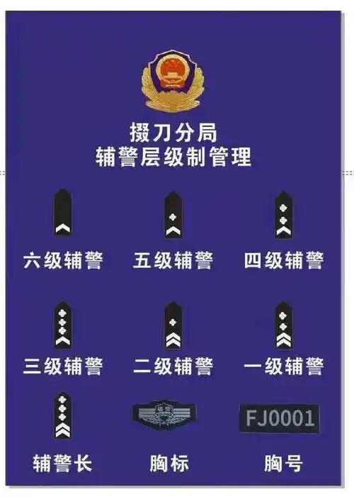 辅警警衔该公众号已被封禁公众号聚焦基层工作与工作警界那些事高新区