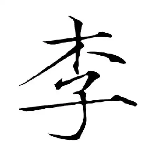 楷书李字