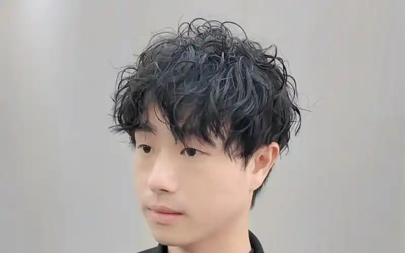 男生烫发 羊毛卷与羊毛卷的区别 男生中长发好打理的发型