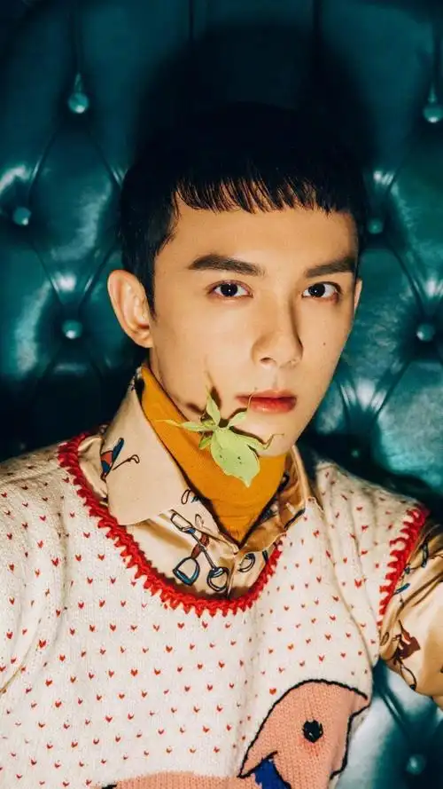 吴磊齐刘海造型