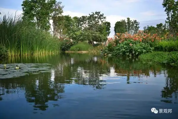 水生植物景观与生态景观设计在人工湿地中应用