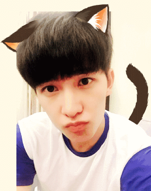 杨洋gif猫咪gif卖萌gif嘟嘴gif