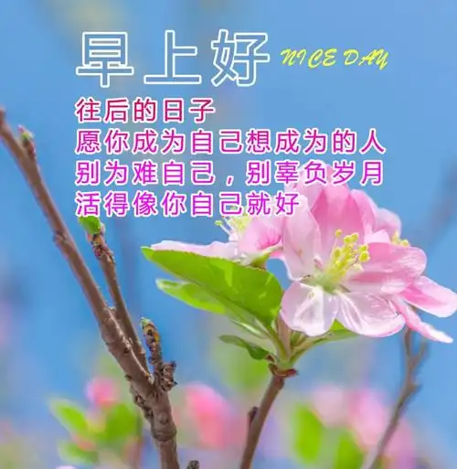 早上好各种图片大全 最新最全的早上好图片