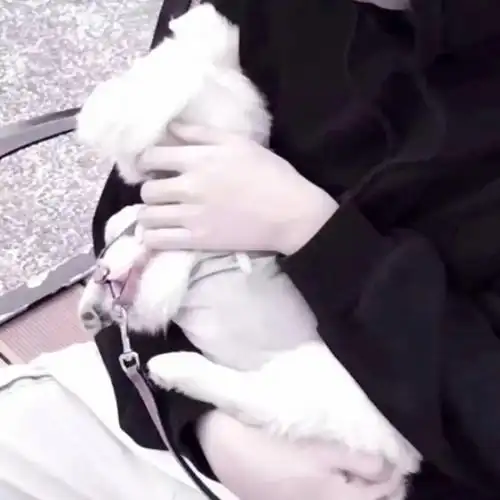 女友不是人系列情头