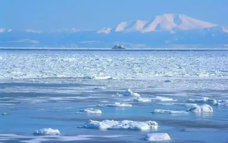 世界四大渔场是哪四个-全民百科